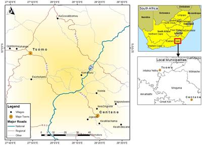 Assessing the multidimensional impact of community-based cattle feedlot programs in the Eastern Cape, South Africa